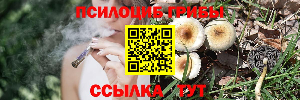 Псилоцибиновые грибы Psilocybe  Вход с VPN  Балабаново 